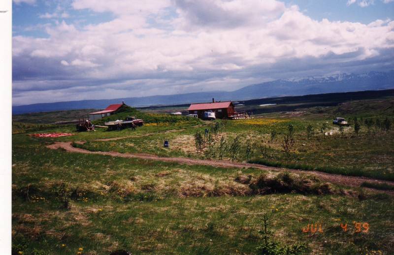 1999_yfirlit_grodur_2.jpg 1999_yfirlit_grodur_2.jpg