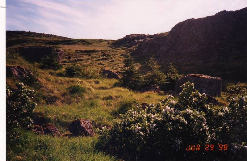 1998_yfirlit_grodur_4.jpg 1998_yfirlit_grodur_4.jpg