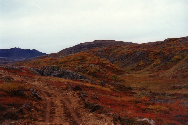1987_haustlistir_sept.jpg 1987_haustlistir_sept.jpg