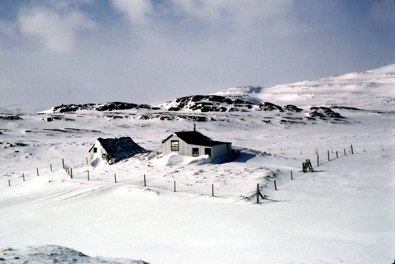 329.jpg 329.jpg