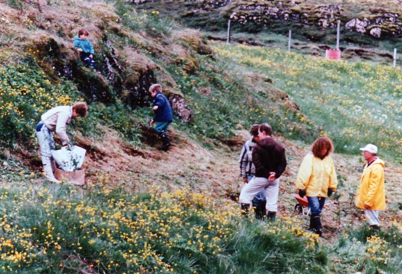 1989_grodursetning_mulakoti.jpg 1989_grodursetning_mulakoti.jpg