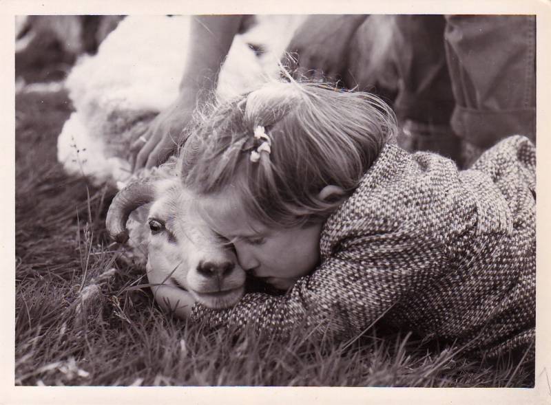 1959_godar_saman.jpg 1959_godar_saman.jpg