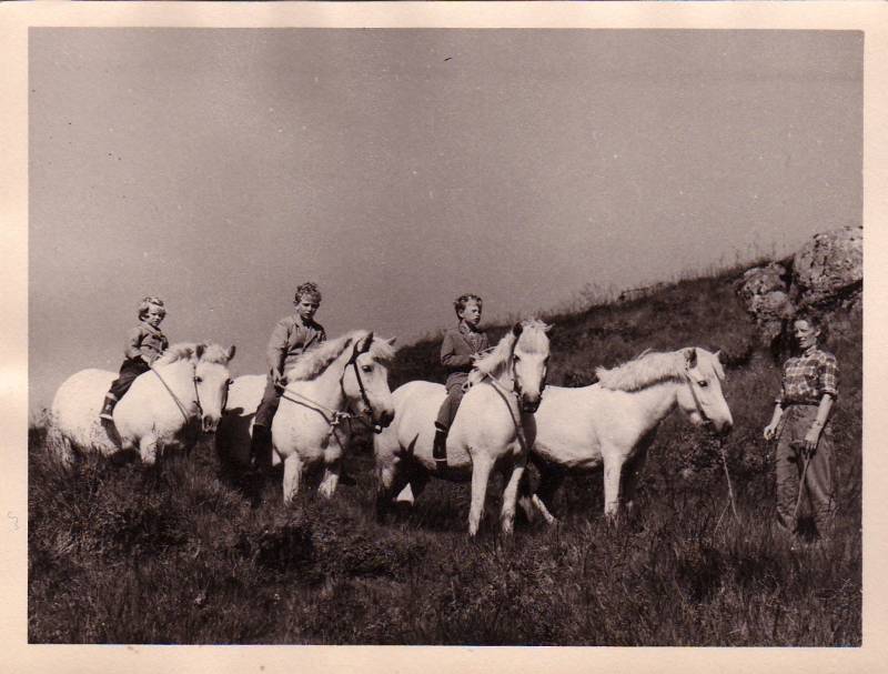 1959_a_hestbaki_allir_i_rod.jpg.jpg 1959_a_hestbaki_allir_i_rod.jpg.jpg