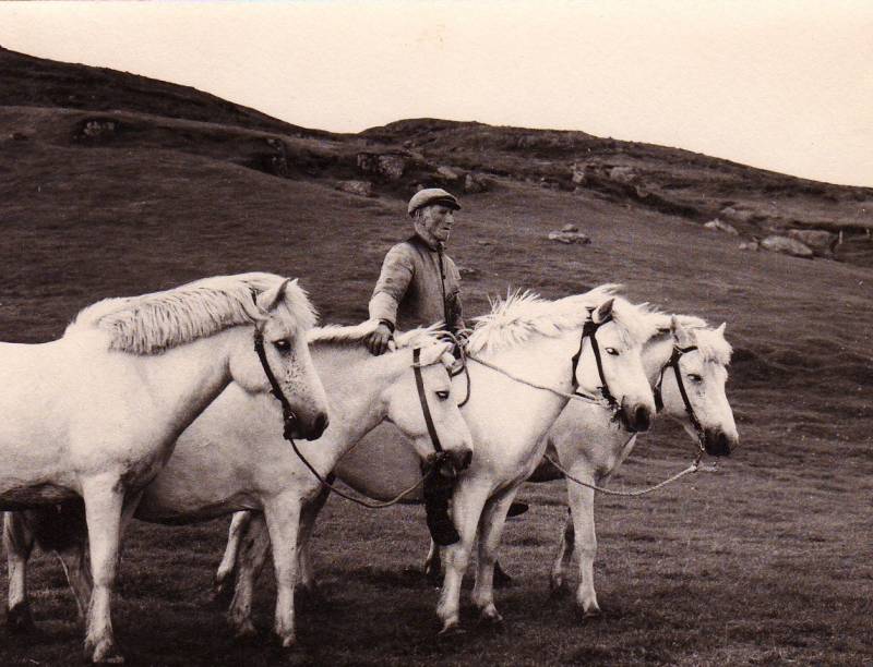1959_ingolfur_m_hestana.jpg 1959_ingolfur_m_hestana.jpg
