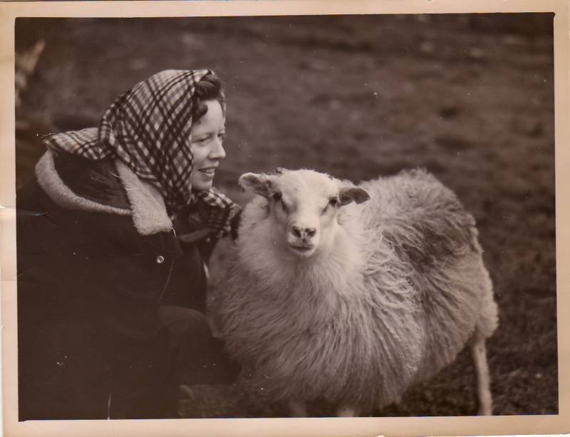 1955_arny_m_lamb.jpg 1955_arny_m_lamb.jpg