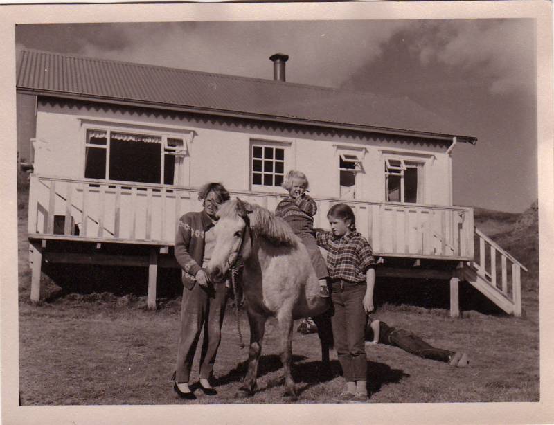 1964_fluga_og_a_hangendur.jpg 1964_fluga_og_a_hangendur.jpg