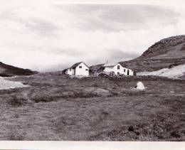 1954_gamli_baerinn.jpg