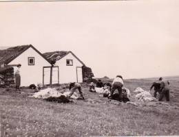 1954_ru_ning.jpg