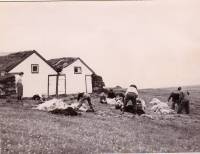 1954_ru_ning.jpg