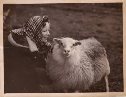 1955_arny_m_lamb.jpg