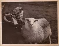 1955_arny_m_lamb.jpg