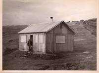 1955_brekkukot.jpg