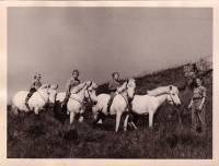 1959_a_hestbaki_allir_i_rod.jpg.jpg