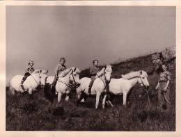 1959_a_hestbaki_allir_i_rod.jpg.jpg