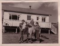 1964_fluga_og_a_hangendur.jpg
