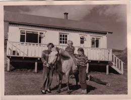 1964_fluga_og_a_hangendur.jpg