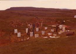 1977_vinda_s.jpg