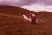 1980_heyi_dregi_burtu.jpg