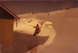 1982_snjo_r_i_kotinu.jpg