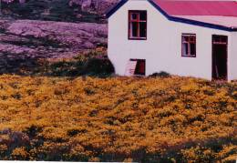 1985_so_leyjar.jpg