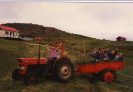 1988_heyskapur.jpg