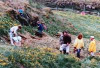 1989_grodursetning_mulakoti.jpg