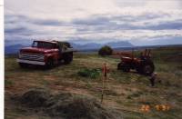 1991_heyskapur.jpg