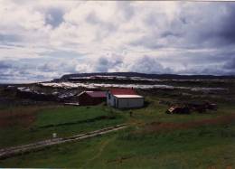 1991_so_l_eftir_rigningu.jpg