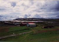 1991_so_l_eftir_rigningu.jpg