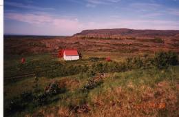 1998_yfirlit_gro_dhur2.jpg