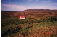1998_yfirlit_gro_dhur2.jpg