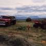 1991_heyskapur.jpg