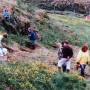 1989_grodursetning_mulakoti.jpg