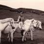 1959_ingolfur_m_hestana.jpg
