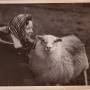 1955_arny_m_lamb.jpg